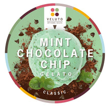 Load image into Gallery viewer, Mint Chocolate Chip
